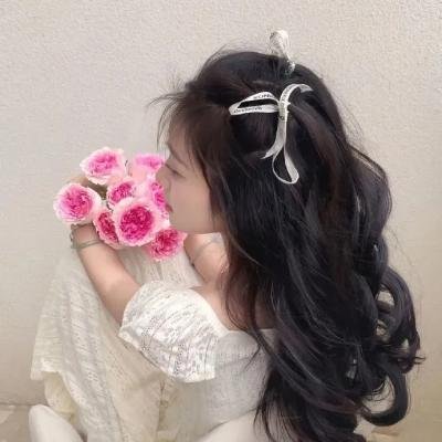 维多利亚春妮回家过年100招