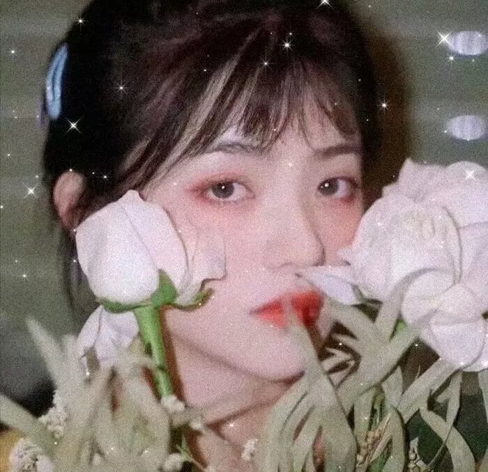 罗小黑战记2